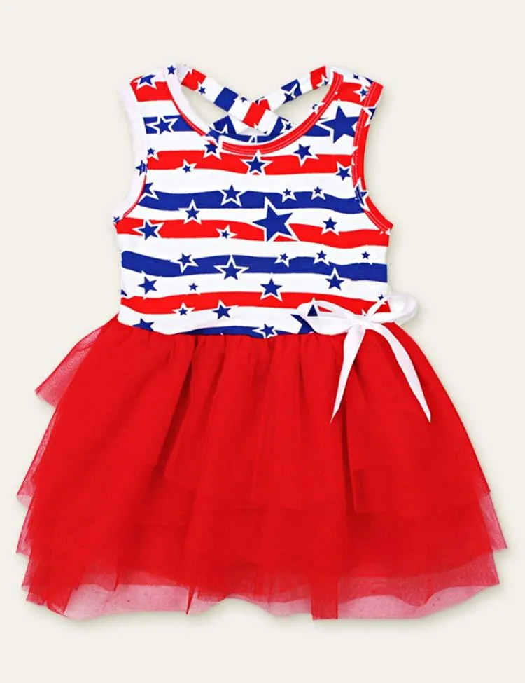 Independence Day Star Printed Mesh Dress - Image 4