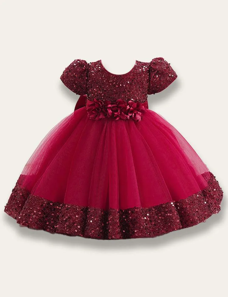 Sparkling Fluffy Gorgeous Dress